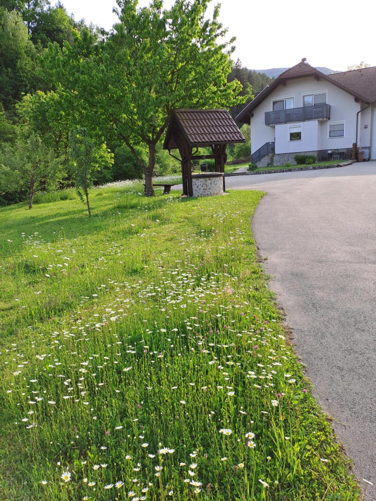 Apartament Apartma Jutersek Libelice Zewnętrze zdjęcie